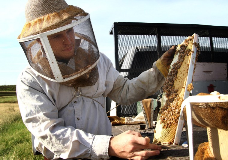 Beekeeping at Walker Honey Farm